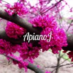 Instrumentals For Study, Workout, Relaxation, Freestyle, Jazz, R&B “No. 12”