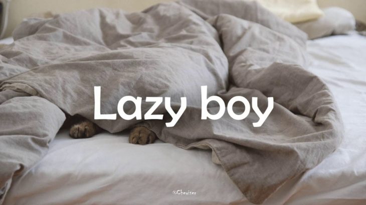 “Lazy boy” Lo-Fi/Chill hop/Calm/Hiphop/R&B/instrumental(Prod.Chewiser)
