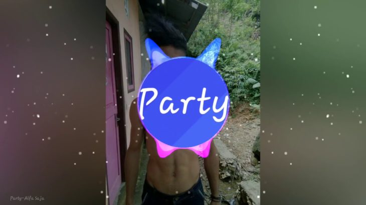 PARTY- DJ ALFA (R&B) 2019