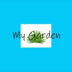 Pop Guitar | R&B Beat | My Garden | Prod – MTGR