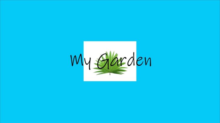 Pop Guitar | R&B Beat | My Garden | Prod – MTGR