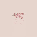 R&B Type Beat – “Blossom”