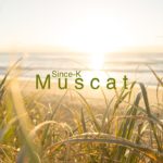 Smooth Trap R&B Type Beats – “Muscat” (prod. Since-K)