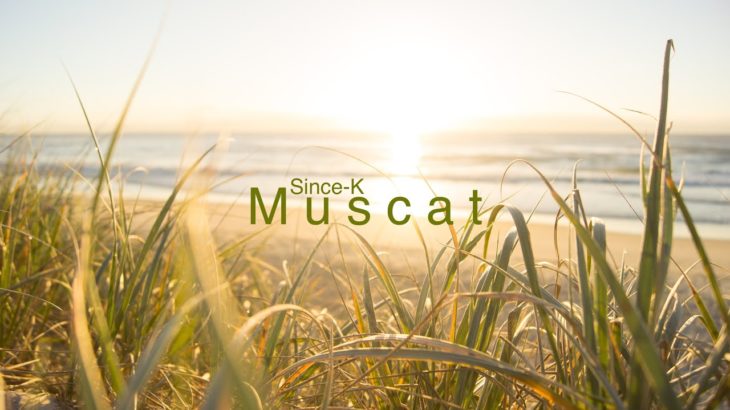 Smooth Trap R&B Type Beats – “Muscat” (prod. Since-K)