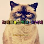 [트리플리에르] Smule 노래듀엣3- 송민호 아낙네 (feat.R&B느낌 스웩녀)