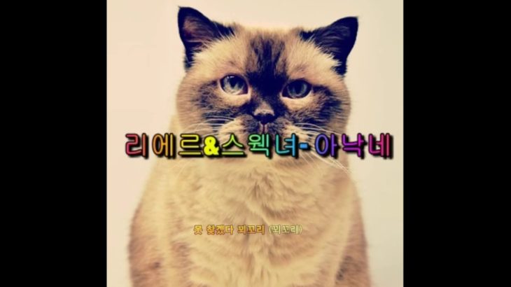 [트리플리에르] Smule 노래듀엣3- 송민호 아낙네 (feat.R&B느낌 스웩녀)