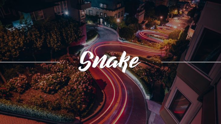 “Snake” – Jaden Smith x Aminé Type Beat | R&B Trap Instrumental 2019 (Prod. By La Palmera)