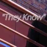 ” They Know ” – Kid R&b (OFFICIAL VIDEO) 2019