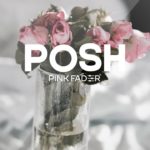 Vibey R&B Beat 2019 – “Posh” | Pink Fader | 90s R&B Type Beat