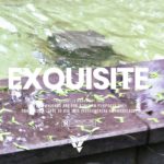 “Exquisite” – Relax Piano Rap Beat | Free Trap R&B Hip Hop Instrumental Music 2019 | Instrumentals