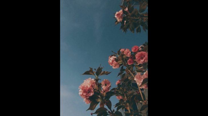 [FREE] Funk // R&B type beat – Vút Bay