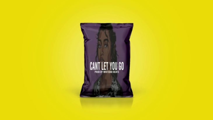 FREE Melodic R&B Type Beat 2019 with Hook – Can’t Let You Go | R&B Type Beat with Hook