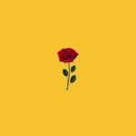 [FREE] Trapsoul Type Beat  “flowers” | R&B Beat / Trap Beat Instrumental