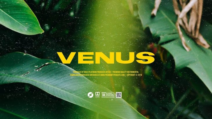 (FREE) ”Venus” – Chris Brown x Gunna Type Beat | Free Beat | R&B Instrumental 2019