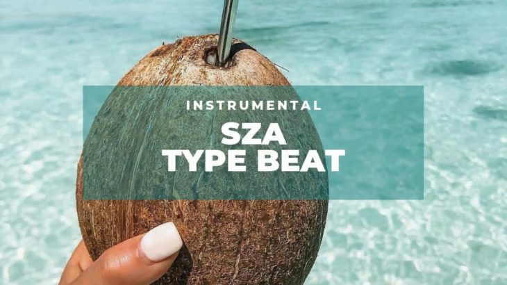 Free SZA x Bryson Tiller Type Beat 2019 / R&B Trap Instrumental