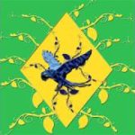 Hino Nacional Brasileiro – Cover R&B