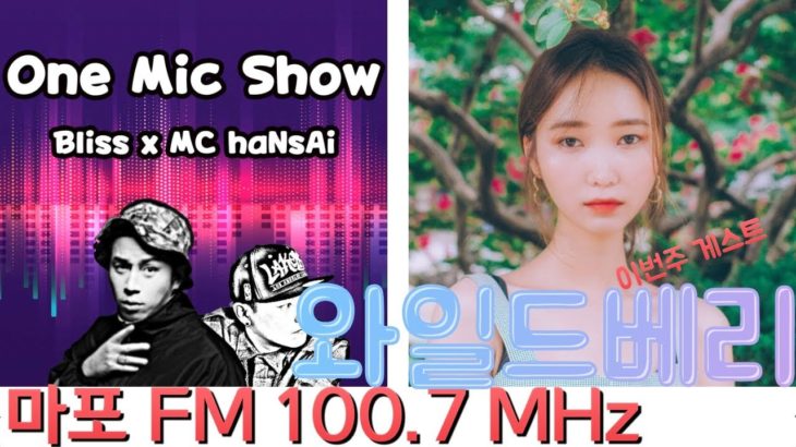 #원마이크쇼 #블리스 #MC한새 묘하게 끌리는 R&B 싱어송라이터 #와일드베리