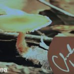 R&B type beat (Charles Martin)