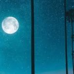 R&b Trap Soul Beat “Late Night” Instrumental
