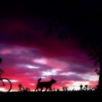 “Sunset Balade” -Freestyle Trap Beat Free Rap Hip Hop R&B Instrumental 2019