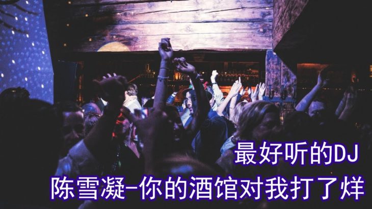 2019最火Dj，清纯女孩酒吧R&B嗨曲，绝对珍藏，陈雪凝—你的酒馆对我打了烊