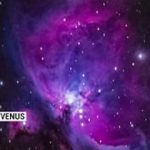 “4th of venus”- Hip Hop/ R&B Instrumental Beat 2019| shayne.