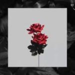 ARBOR | Dark Guitar Flute Trap Beat | Deep Melodic 6lack Type Hiphop R&B Instrumental