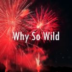 [FREE] R&B Type Beat – “Why So Wild” | Trap/R&B Instrumental 2019 (Prod. StormBloopers)