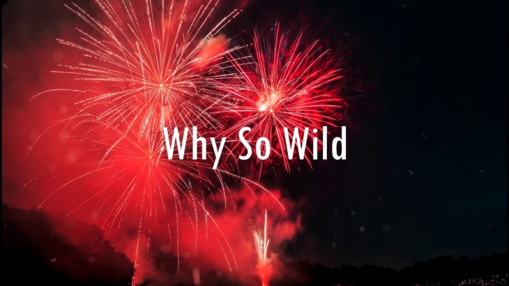 [FREE] R&B Type Beat – “Why So Wild” | Trap/R&B Instrumental 2019 (Prod. StormBloopers)