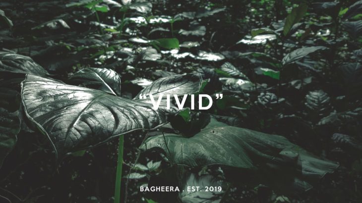 [FREE] Smooth R&B Instrumental Type Beat 2019 – “Vivid” | Free Type Beat | Bagheera
