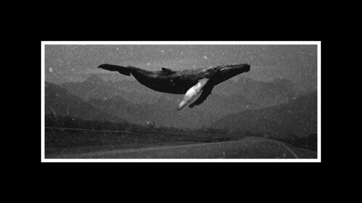 (FREE) The Weeknd Type Beat “Dreams” | DARK R&B VIBES 2019