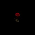 [FREE] Trapsoul R&B Type Beat – “One Love” (prod. Wintendo)