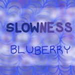 FREE for profit BEAT “Slowness” joji R&B type beat 2019 – Bluberry
