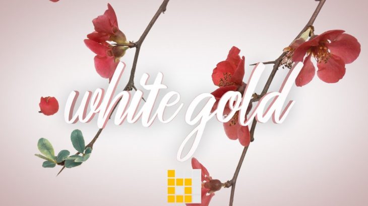 Free Chill Rap Beat Hip Hop R&B Instrumental – White Gold | Beatowski