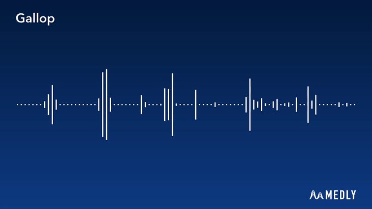 Medly – Gallop But It’s Played On R&B Instruments