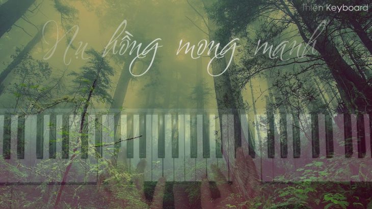 Nụ Hồng Mong Manh – Bích Phương | Piano R&B Cover | Nhạc Hòa Tấu Piano