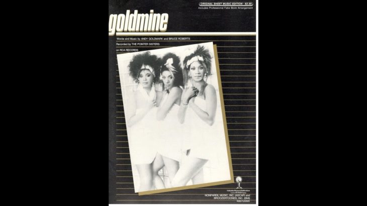 POINTER SISTERS Goldmine (12″ Mix)  R&B