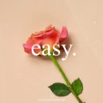 Queen Naija x Summerella Type Beat – “Easy” l Smooth R&B Soul Instrumental New2019