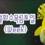 월하수목금토일  # 청하 #  꿈을 향한 여정 ~  ♬ R&B 발라드 ♬