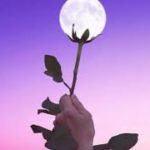 [R&B beat] sweet  jaw | Hip Hop / R&B Instrumental