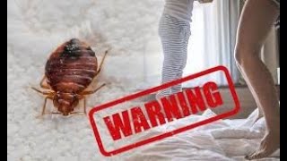RL from R&B Group NEXT, Discovers Bed Bugs in his Hotel Room!
