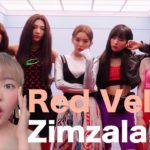Red Velvetの新曲Zimzalabimの意味は？🧞‍♀️K-POPで学ぶ韓国語！