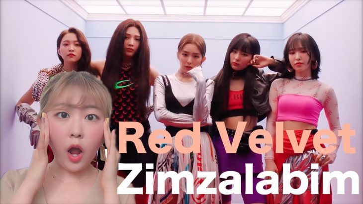 Red Velvetの新曲Zimzalabimの意味は？🧞‍♀️K-POPで学ぶ韓国語！