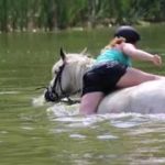 Reiterhof Rohe R&B Fails and Outtakes Sommer 2019