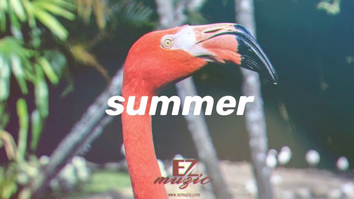 “Summer” – Childish Gambino Ft Mac Miller Ft Berhana Type Beat | Pop R&B Instrumental |Ez Muzic🌴