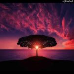 xangang / / r&b / / summrsxo type beat – ( Prod, elliot!!! )