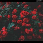 90s R&B x Slow Jam Type Beat (Prod. PercShawty)