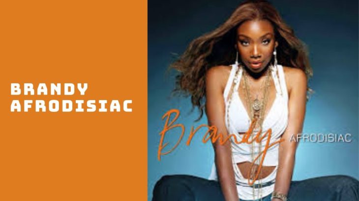 Brandy Afrodisiac Old School R&B  Sexy RnB  Black Music