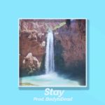 Chill R&B Type Beat “Stay” Prod. BodyIsDead