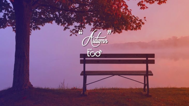 [FREE 2019] Sabrina Claudio x HER Type Ambient R&B Beat 2019 – “Autumn” | Prod. TOD